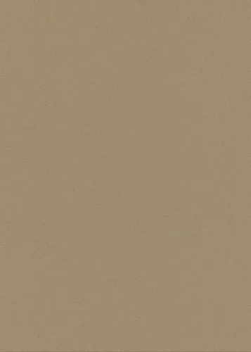 Natúros barna textúrájú egyszínű (lángálló, mosható) vlies-vinyl tapéta