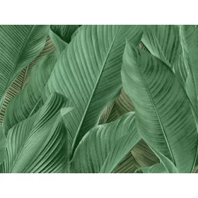  Tahiti: Selyemfényű zöld leveles (mosható) vlies alapon vinyl felületű tapéta