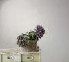 City Romance Beton: matt törtfehér mintás vlies-vinyl tapéta