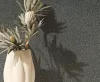 Ritus: Fekete-arany apró betonmintás egyszínű matt texturált (mosható) vlies-vinyl tapéta