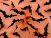 Halloween denevér mintás sifon anyag: NARANCSSÁRGA
