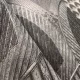 Metálos kollekció Speciel FX2: Antracit-ezüsfényű leveles geometrikus mintás (mosható) vlies-vinyl tapéta
