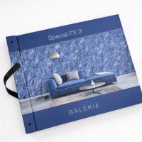 Galerie - Special FX2 (Vlies, Vinyl felülettel - mosható)