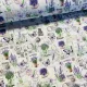 Fehér alapon levendulás, provence-i mintás pamutvászon